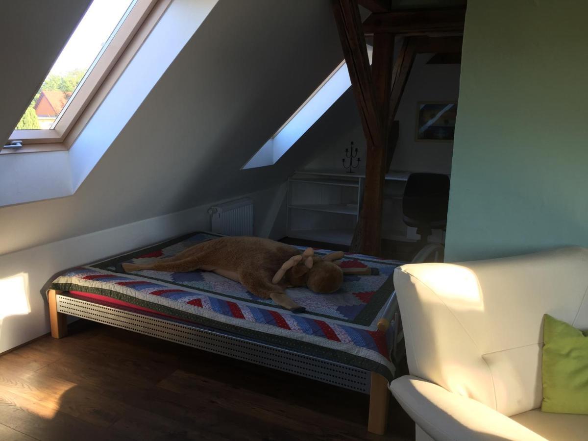 Ferienwohnung Schulze Freital Esterno foto